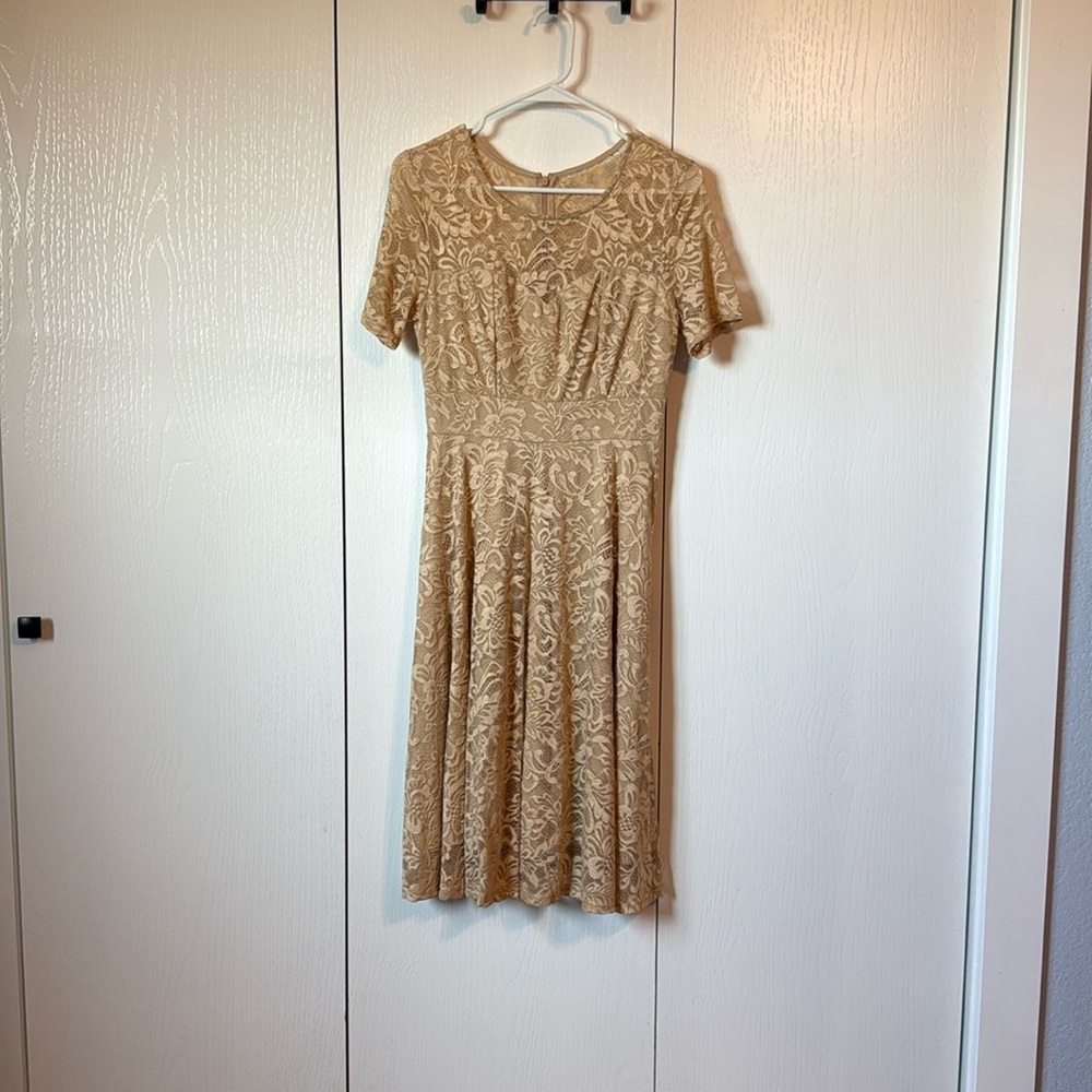 Elegant Tan Lace Dress